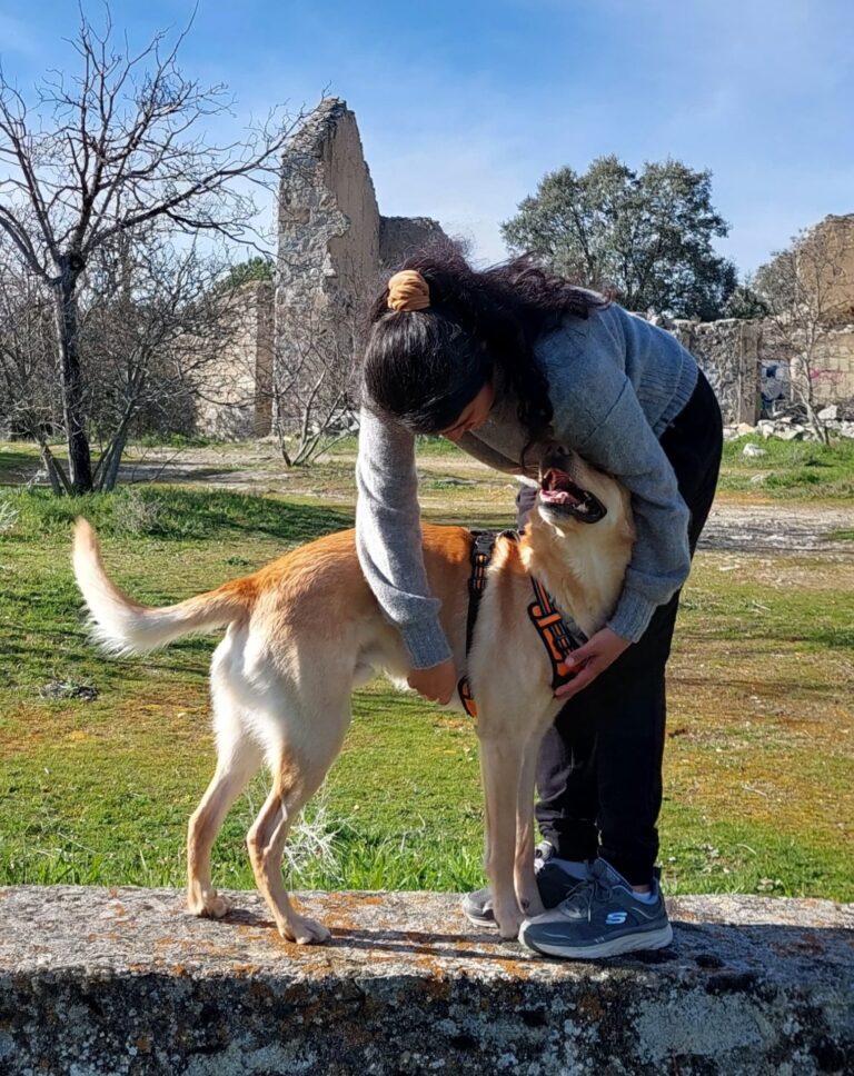 educacion canina