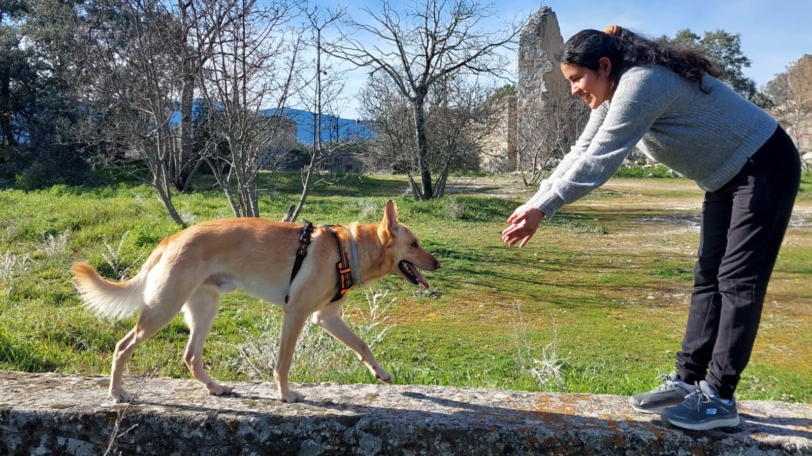 Desi, educadora canina en Madrid de Crea Vínculo Canino, trabajando la llamada con un perro en el campo