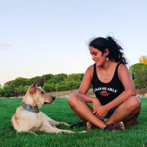 perro amor